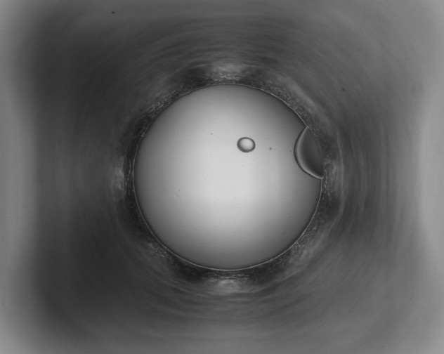 X0000102470655200808151429