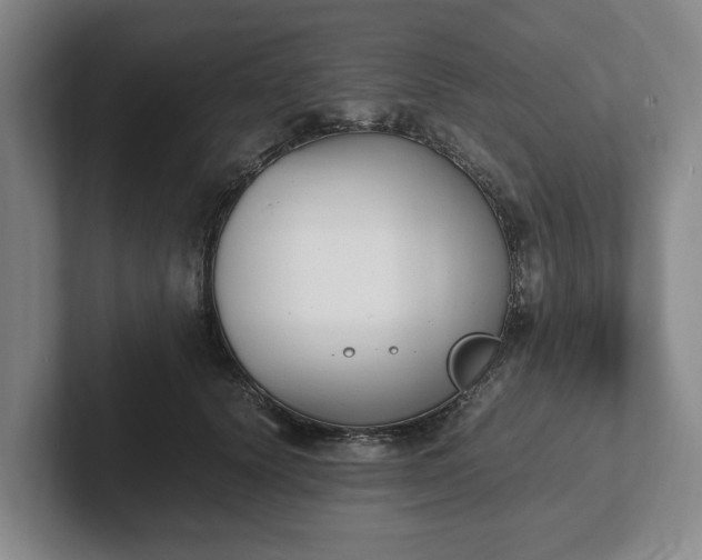 X0000102470656200808151429