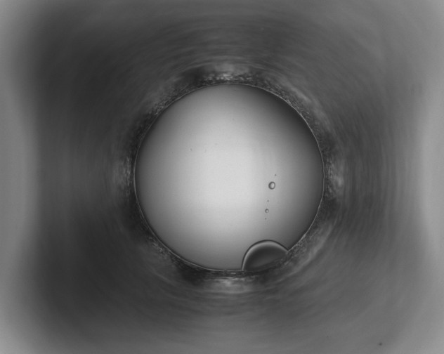X0000102470657200808151429