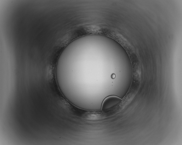 X0000102470658200808151429