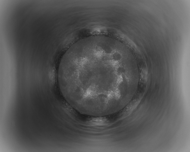 X0000102470659200808151429