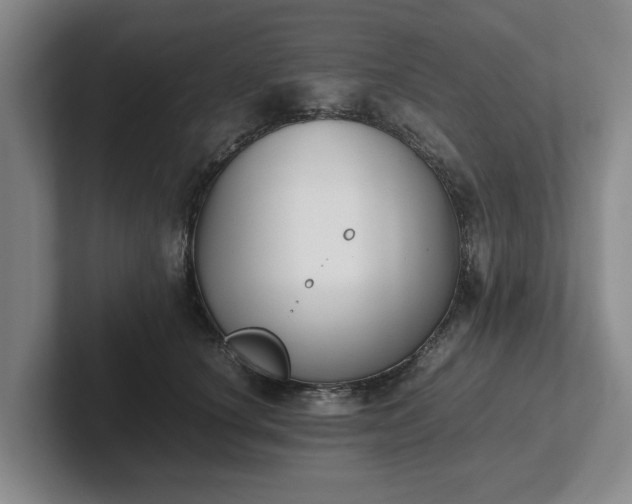 X0000102470660200808151429