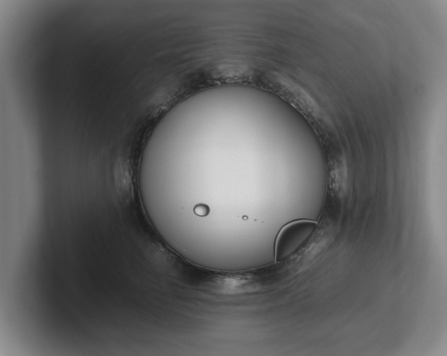 X0000102470662200808151429