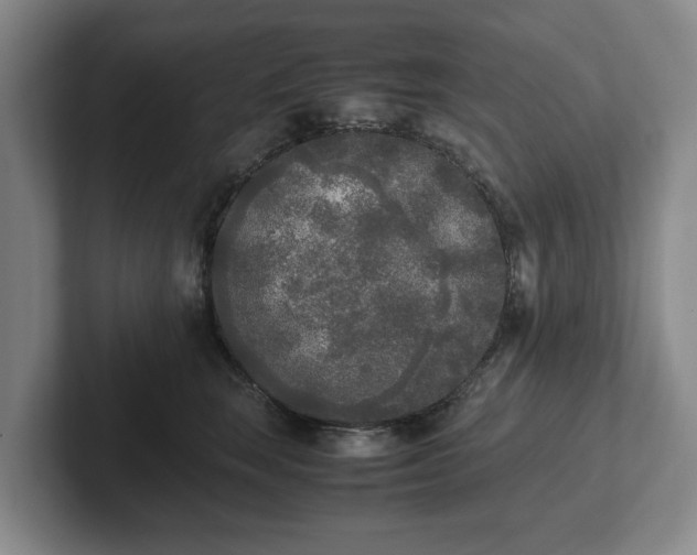 X0000102470663200808151429