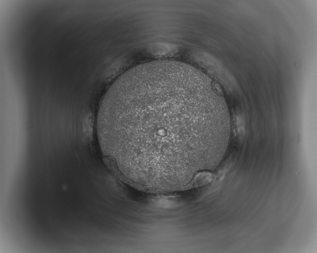 X0000102470664200808151429