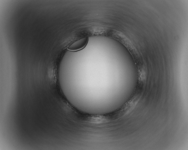 X0000102470666200808151429