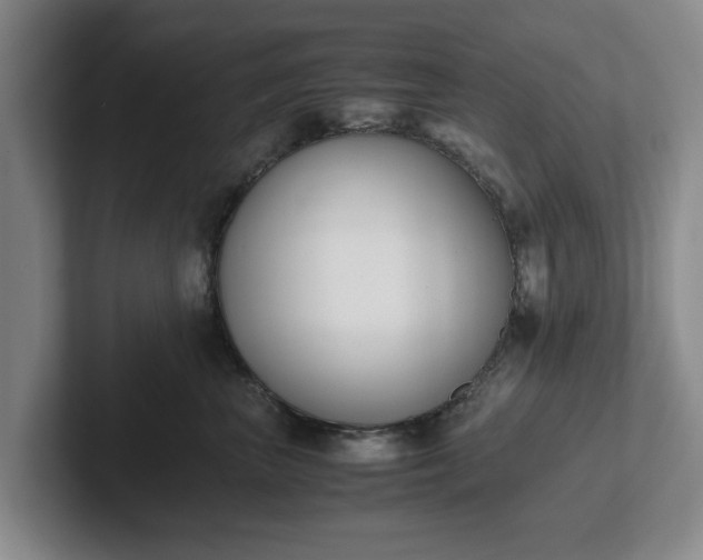 X0000102470667200808151429