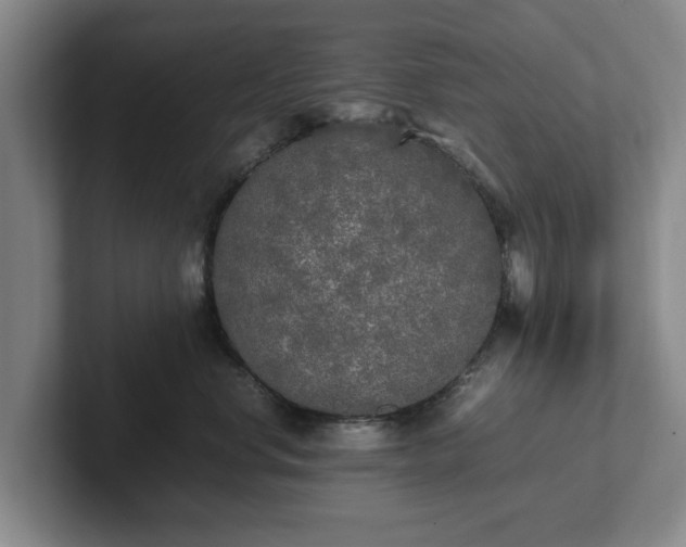 X0000102470668200808151429