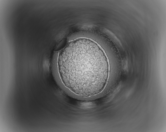 X0000102470669200808151429