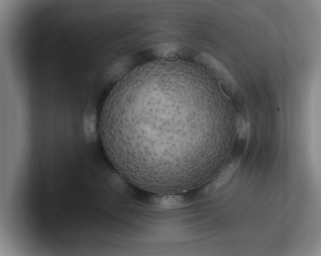 X0000102470670200808151429