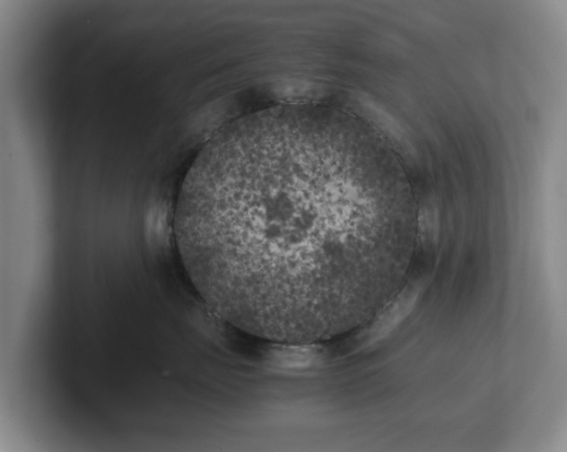 X0000102470671200808151429