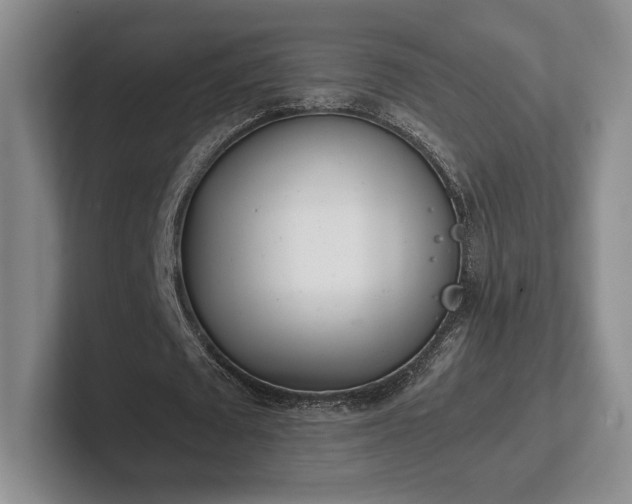 X0000102470673200808151429