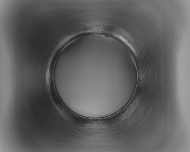 X0000102470674200808151429