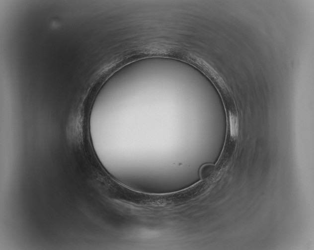 X0000102470675200808151429