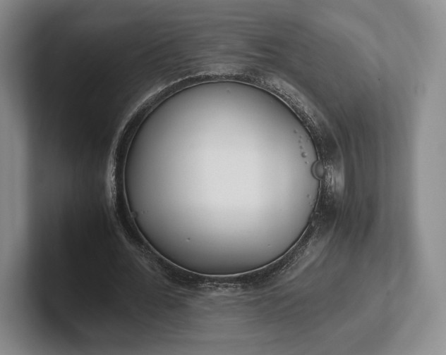 X0000102470676200808151429