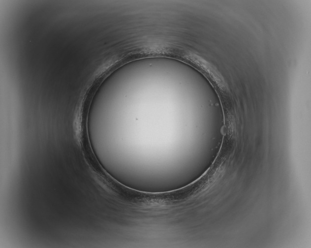 X0000102470677200808151429