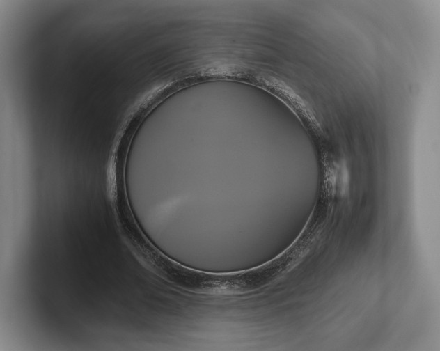 X0000102470678200808151429