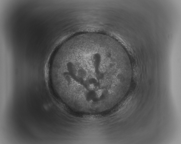 X0000102470679200808151429