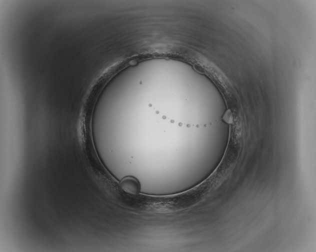 X0000102470680200808151429