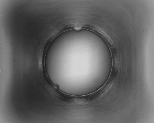 X0000102470681200808151429