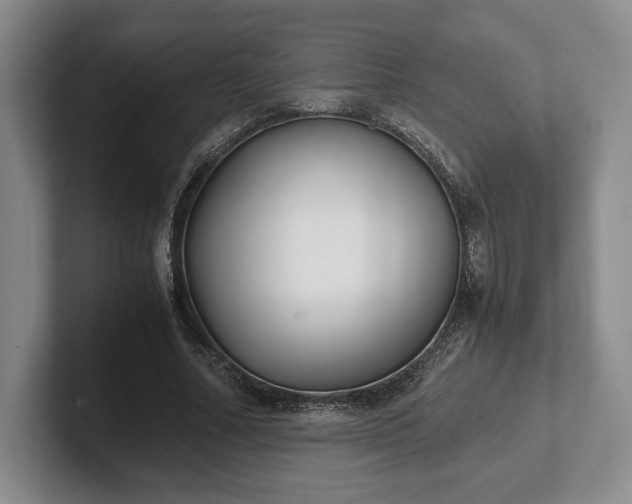 X0000102470682200808151429