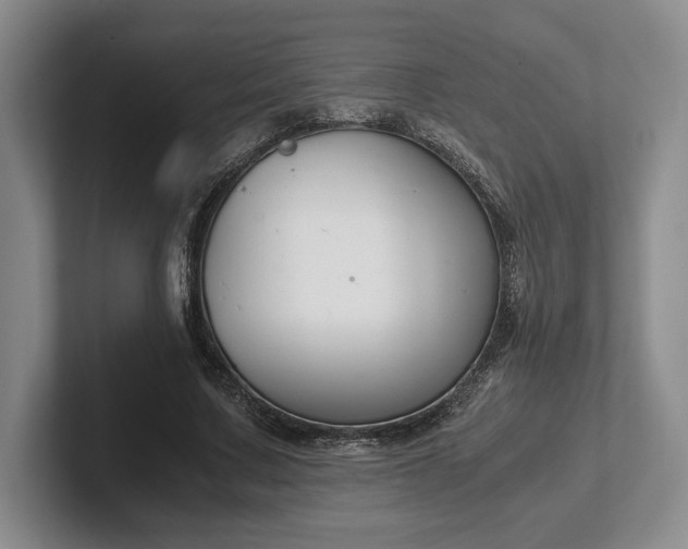 X0000102470683200808151429