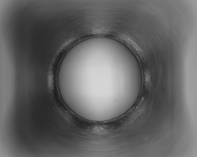 X0000102470684200808151429