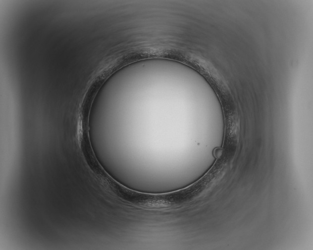 X0000102470685200808151429