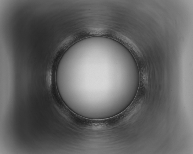 X0000102470686200808151429