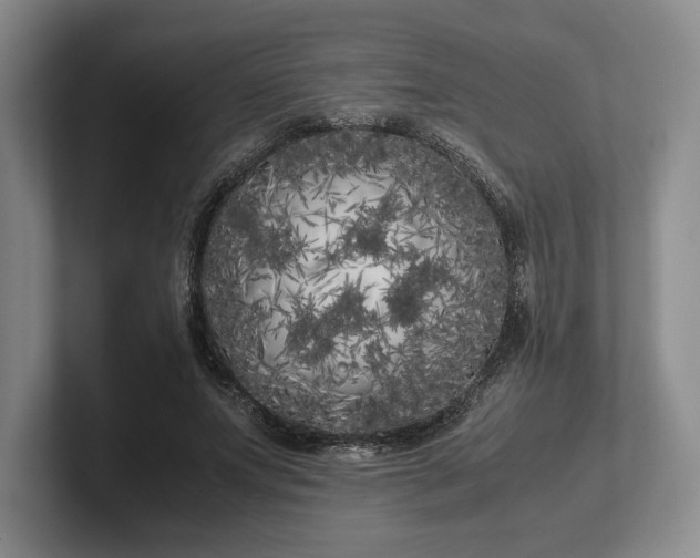 X0000102470687200808151429