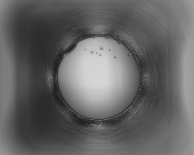 X0000102470688200808151429
