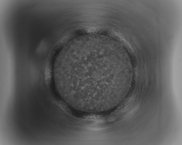 X0000102470691200808151428