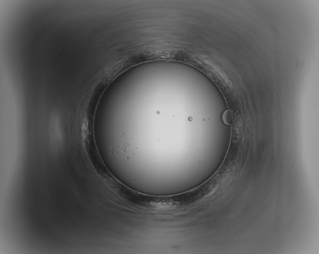 X0000102470693200808151428