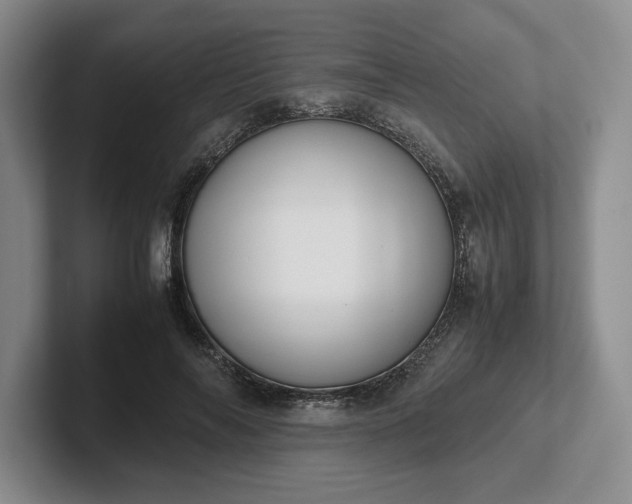 X0000102470694200808151428