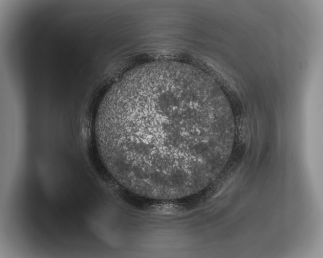X0000102470695200808151428