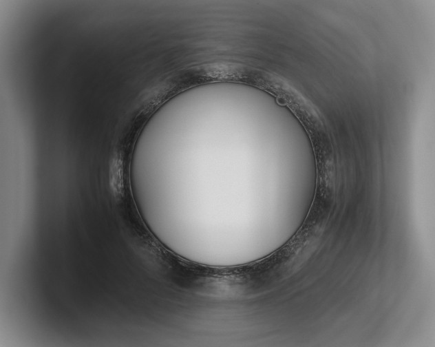 X0000102470696200808151428