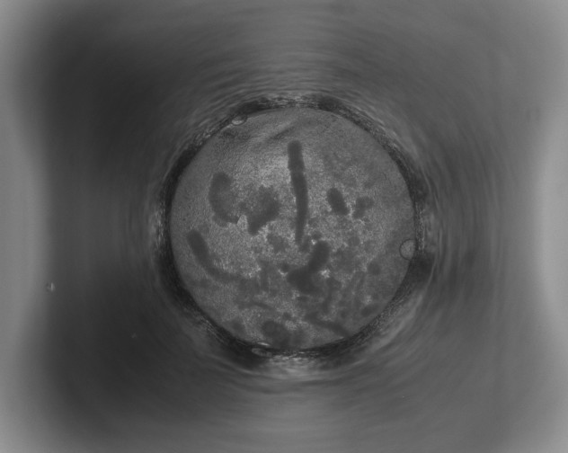 X0000102470699200808151428