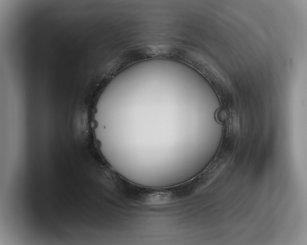 X0000102470700200808151428