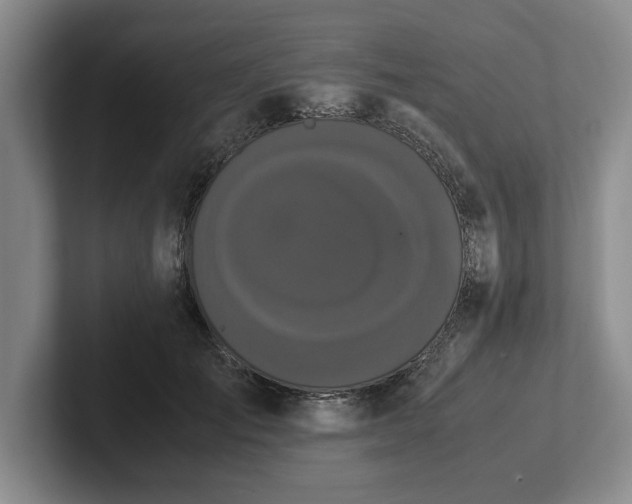 X0000102470701200808151428