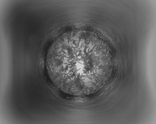 X0000102470703200808151428