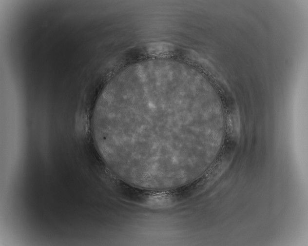 X0000102470705200808151428