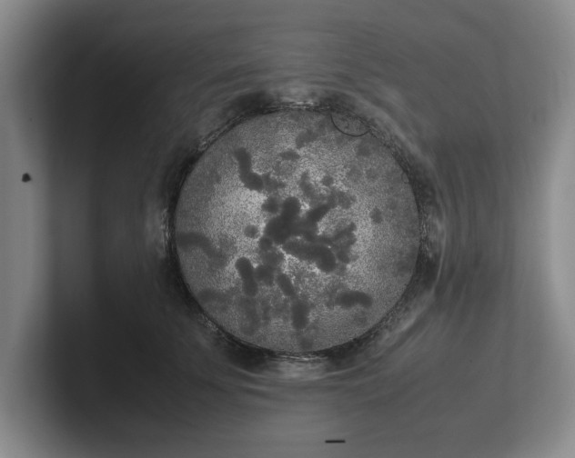 X0000102470707200808151428