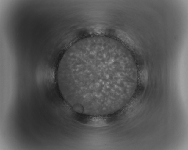 X0000102470709200808151428
