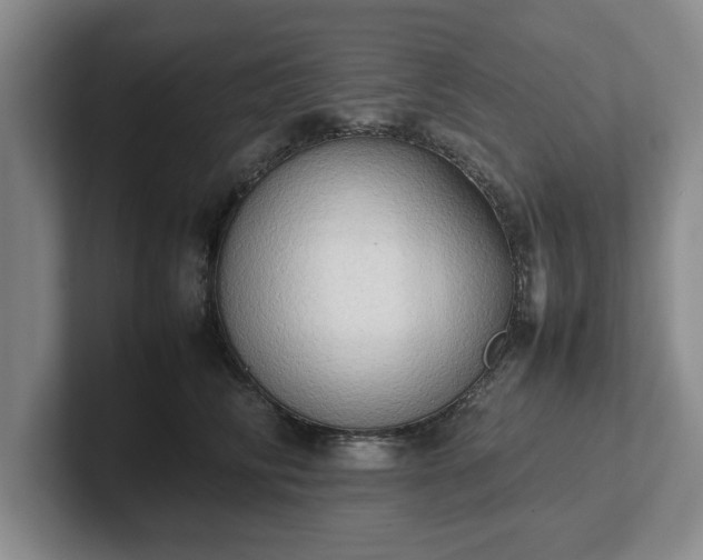 X0000102470710200808151428