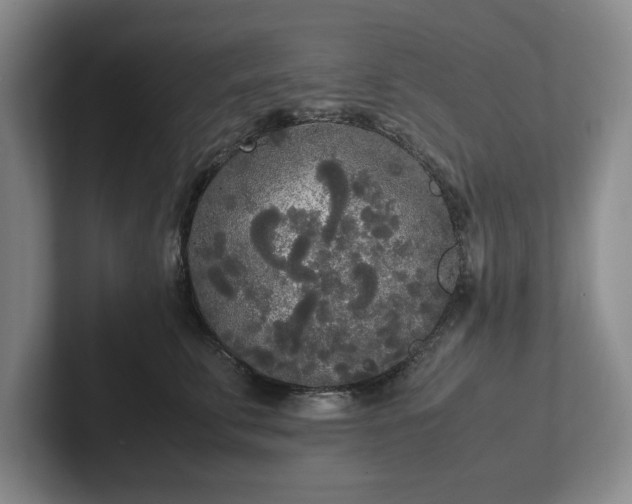 X0000102470711200808151428