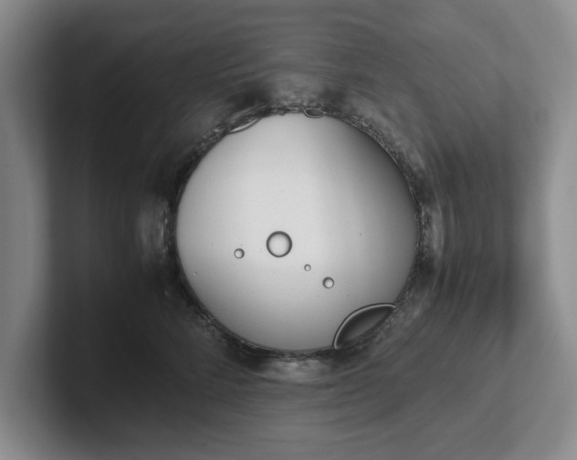 X0000102470712200808151428