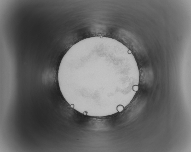 X0000102470713200808151428