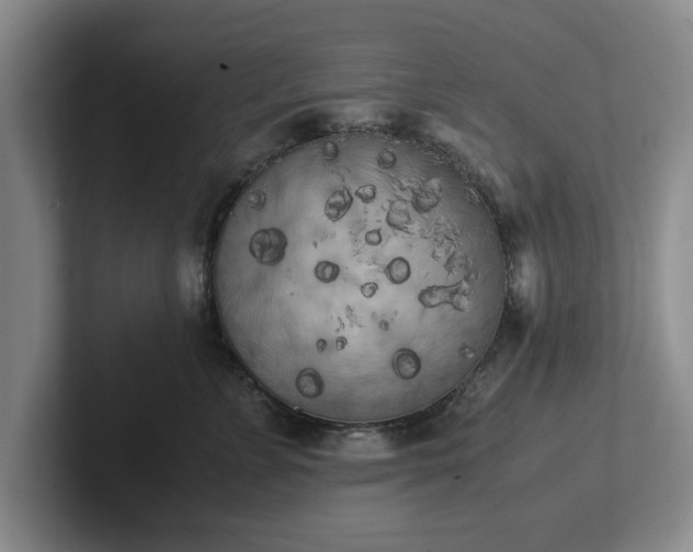 X0000102470715200808151428