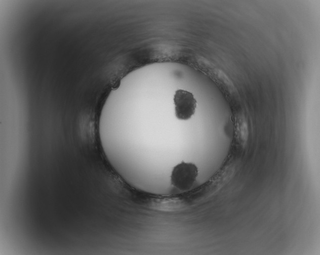 X0000102470716200808151428