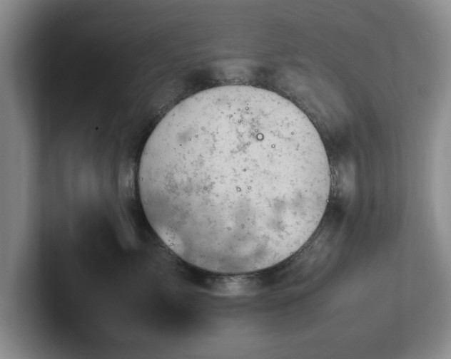 X0000102470717200808151428